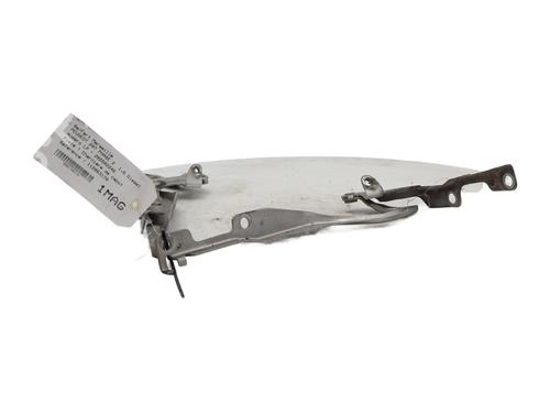 Hinge/Door check strap PEUGEOT 207 (WA_, WC_) 1.6 HDi | BP29119850C146 