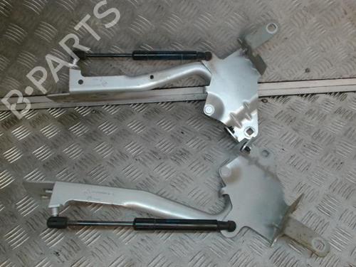 Used Hinge/Door check strap RENAULT SCÉNIC III (JZ0/1_) 1.6 dCi (JZ00, JZ12) (130 hp) 24275912