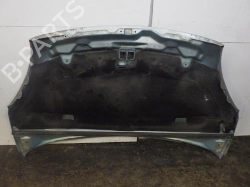 Hood CITROËN XSARA PICASSO (N68) 2.0 HDi | BP29484270C1 