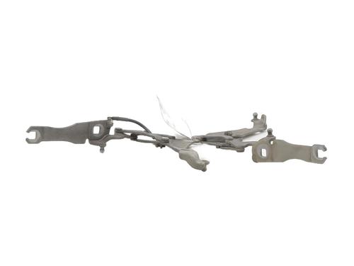 Hinge/Door check strap MINI MINI (R56) Cooper | BP27883394C146 