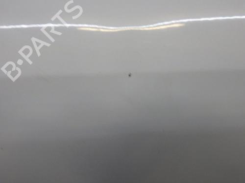 Left front door RENAULT CLIO III (BR0/1, CR0/1) 1.5 dCi (BR17, CR17) | BP30260474C2 