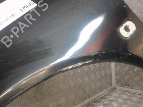 Left front fenders RENAULT TWINGO I (C06_) 1.2 16V (C060) | BP25814076C41 