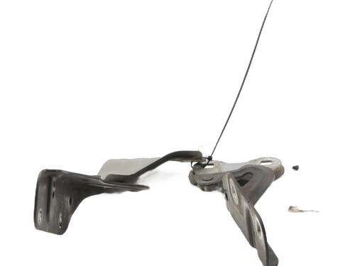 Used Hinge/Door check strap RENAULT TWINGO II (CN0_) 1.5 dCi (CN0E) (64 hp) 30856598