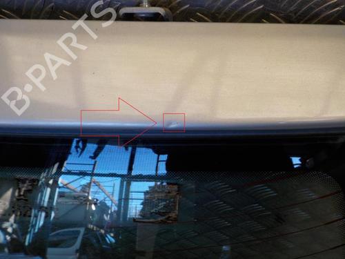 Tailgate PEUGEOT 206 Hatchback (2A/C) 1.4 HDi eco 70 | BP24273362C6 