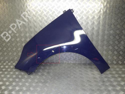 Used Left front fenders RENAULT SCÉNIC III (JZ0/1_) 1.5 dCi (106 hp) 24279416