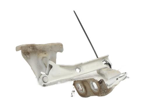 Hinge/Door check strap FIAT PUNTO (188_) 1.3 JTD 16V | BP31045269C146