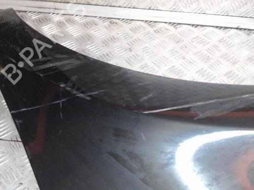 Left front fenders RENAULT CLIO III (BR0/1, CR0/1) 1.5 dCi (BR17, CR17) | BP24272995C41 