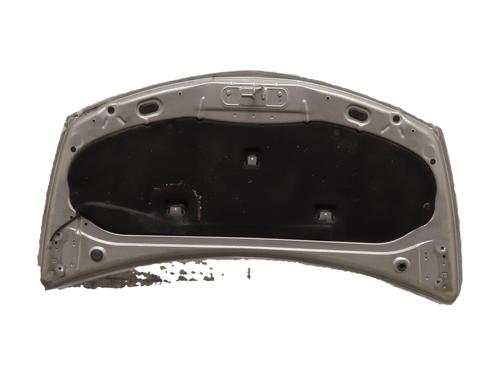 hood-renault-clio-iii-br01-cr01-2005-2006-2007-2008-2009-2010-2011-2012-2013-2014-34527280 main image