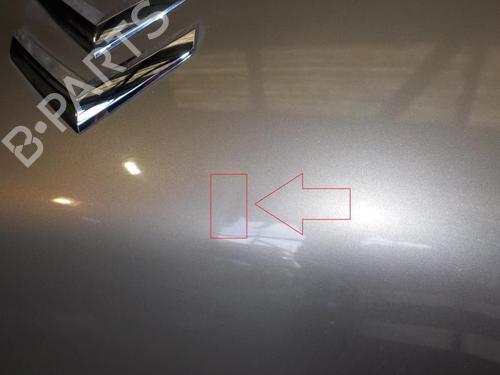 Hood CITROËN NEMO MPV 1.4 HDi | BP24276638C1