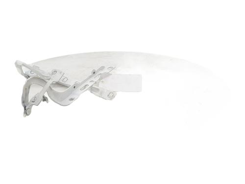 Hinge/Door check strap PEUGEOT 208 I (CA_, CC_) 1.5 BlueHDI 100 | BP27340761C146