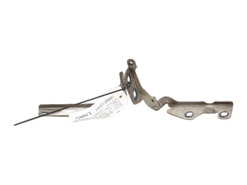 Used Hinge/Door check strap RENAULT TWINGO I (C06_) 1.2 (C066, C068) (58 hp) 31218036