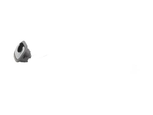 Front right interior door handle RENAULT CLIO III (BR0/1, CR0/1) 1.2 16V | BP26130401I14 