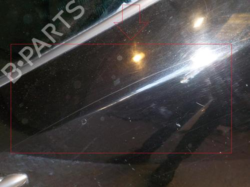Used Right rear door RENAULT MEGANE III Hatchback (BZ0/1_, B3_) 1.9 dCi (BZ0N, BZ0J) (131 hp) 24267967