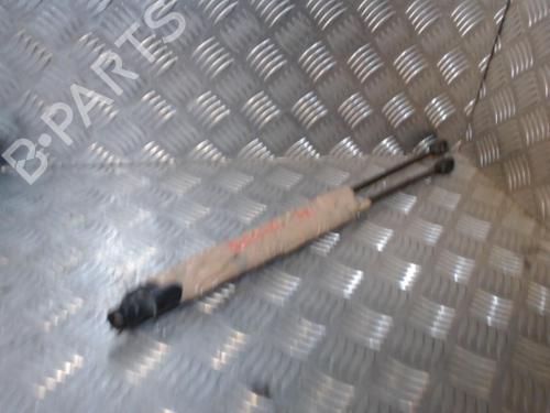 Tailgate lift support RENAULT CLIO III Grandtour (KR0/1_) 1.5 dCi | BP24280396C138 