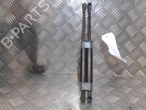 Hood lift support BMW 3 (E46) 320 d | BP24266450C139