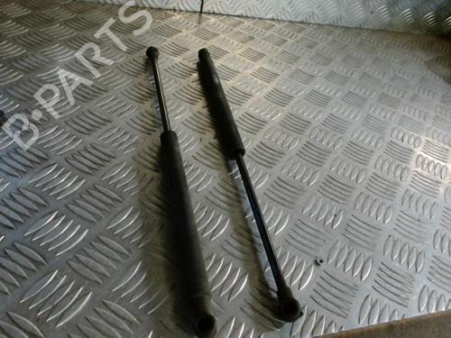 Hood lift support LAND ROVER RANGE ROVER SPORT I (L320) 3.0 D 4x4 | BP24264479C139 
