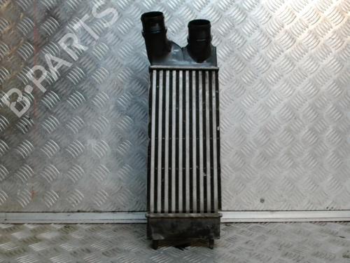 Used Intercooler PEUGEOT PARTNER Tepee 1.6 HDi 16V (90 hp) 24268360
