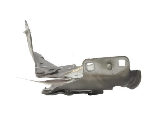 Hinge/Door check strap RENAULT VEL SATIS (BJ0_) 3.0 dCi (BJ0S) | BP26966735C146 