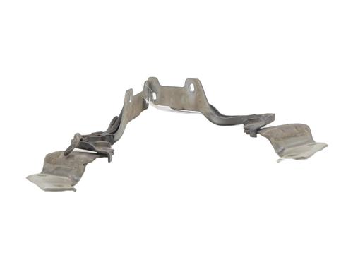 Hinge/Door check strap RENAULT CLIO III (BR0/1, CR0/1) 1.6 16V (BR09, BR0T, CR09, CR0T) | BP27677246C146 