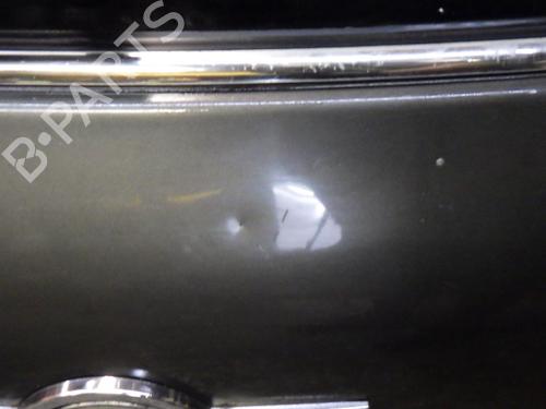 Tailgate MINI MINI COUNTRYMAN (R60) Cooper D | BP29039802C6 