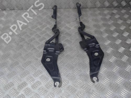 Hinge/Door check strap BMW X6 (E71, E72) xDrive 35 d | BP24282266C146 