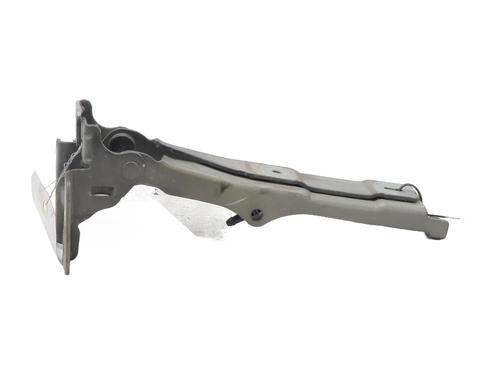 hingedoor-check-strap-citroen-c3-ii-sc_-2009-25491902 main image