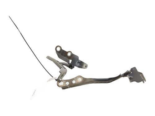 hingedoor-check-strap-citroen-c1-ii-pa_-ps_-2014-2015-2016-2017-2018-2019-2020-2021-32373882 main image