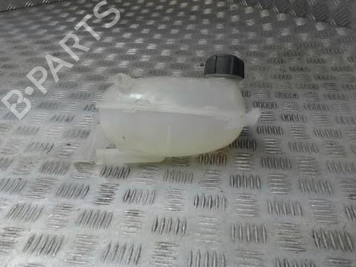 Used Expansion tank RENAULT EXPRESS Box Body/MPV 1.5 Blue dCi 95 (F6AB) (95 hp) 24272233