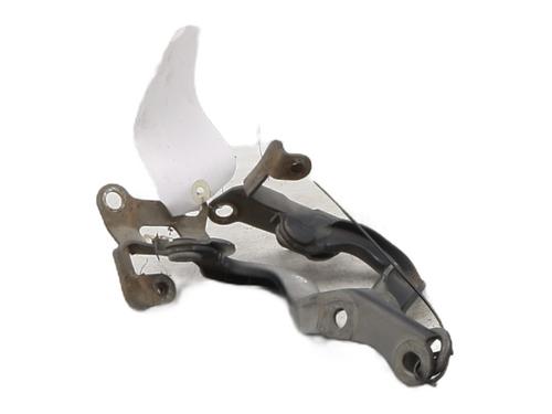 Hinge/Door check strap CITROËN C1 (PM_, PN_) 1.0 | BP29209397C146 