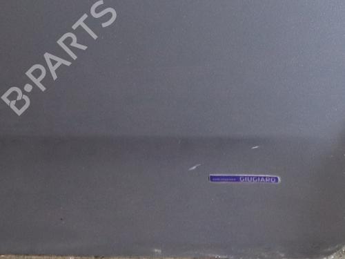 Left rear door FIAT GRANDE PUNTO (199_) 1.3 D Multijet | BP30003653C4 