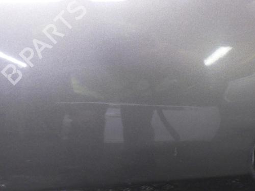 Left front door CITROËN XSARA PICASSO (N68) 1.6 HDi | BP27184710C2 