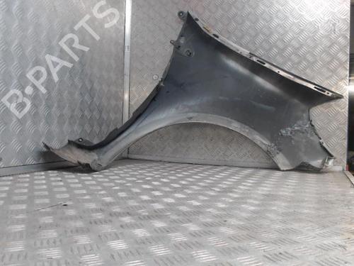 Left front fenders RENAULT CLIO III (BR0/1, CR0/1) 1.5 dCi (BR17, CR17) | BP29161865C41 