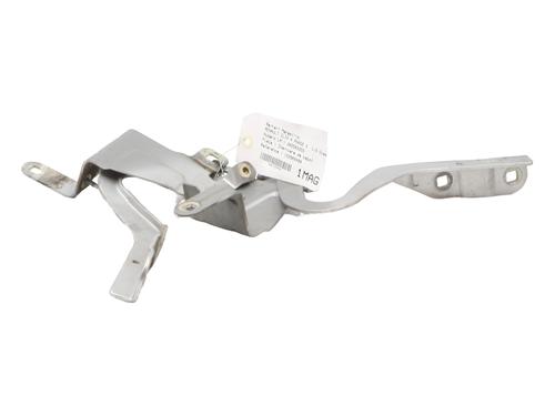 hingedoor-check-strap-renault-clio-iv-bh_-2012-2013-2014-2015-2016-2017-2018-2019-2020-2021-33415319 main image