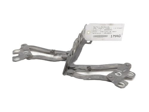 hingedoor-check-strap-opel-corsa-d-s07-2006-2007-2008-2009-2010-2011-2012-2013-2014-2015-33414487 main image