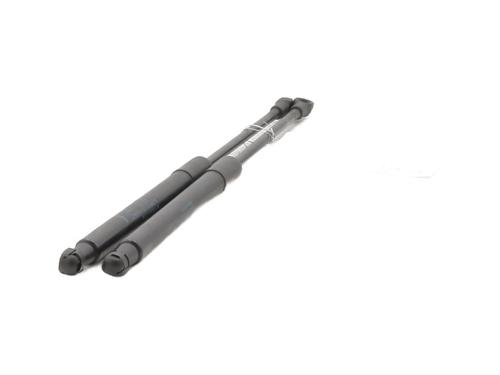 Gassdemper Bakluke RENAULT TWINGO II (CN0_) 1.2 16V (CN04, CN0B) (75 hp) 26658122