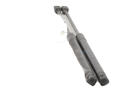 Tailgate lift support DACIA SANDERO 1.2 16V | BP30643056C138