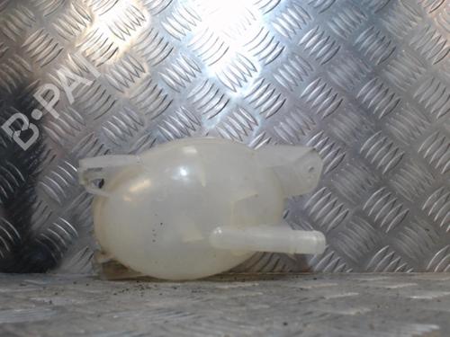 Used Expansion tank RENAULT CLIO IV (BH_) 1.5 dCi 90 (90 hp) 24273704