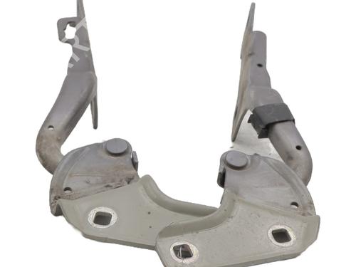 Hinge/Door check strap RENAULT CLIO III (BR0/1, CR0/1) 1.2 16V (BR0P, CR0P) | BP27596566C146 