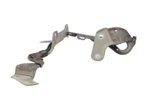 Hinge/Door check strap RENAULT CLIO III (BR0/1, CR0/1) 1.5 dCi (C/BR0G, C/BR1G) | BP25440990C146 
