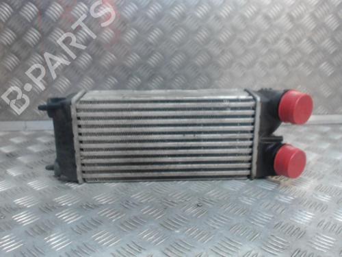 Used Intercooler CITROËN C4 Coupe (LA_) 1.6 HDi (90 hp) 24277530