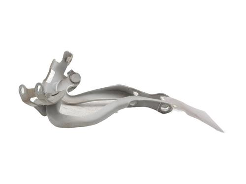 Hinge/Door check strap PEUGEOT 107 (PM_, PN_) 1.0 | BP26891663C146 