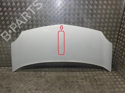 Used Hood RENAULT KANGOO Express (FW0/1_) 1.5 dCi 90 (FW0G, FW05, FW08, FW11) (90 hp) 24276770