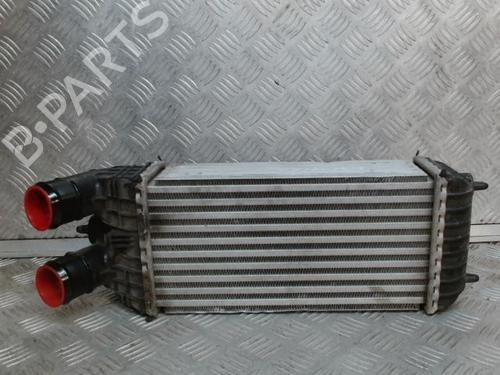 Used Intercooler Intercooler PEUGEOT 2008 I (CU_) 1.2 THP 110 / PureTech 110 (110 hp) 24275913 24275913
