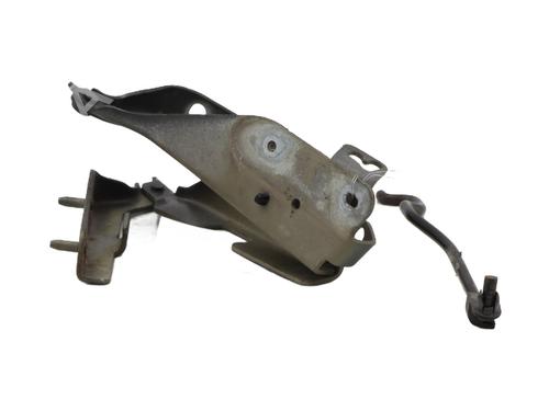 Hinge/Door check strap CITROËN C3 I (FC_, FN_) 1.4 HDi | BP28976948C146 