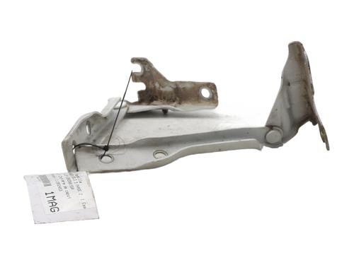 Hinge/Door check strap VW POLO V (6R1, 6C1) 1.0 | BP29028221C146 