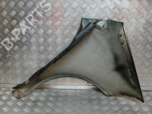 Left front fenders MERCEDES-BENZ A-CLASS (W169) A 180 CDI (169.007, 169.307) | BP24268161C41 