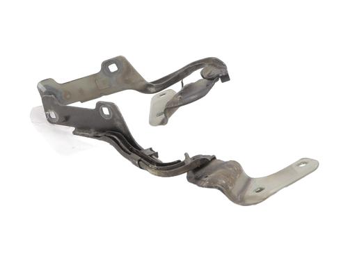 hingedoor-check-strap-renault-clio-iii-br01-cr01-2005-2006-2007-2008-2009-2010-2011-2012-2013-2014-25440990 main image