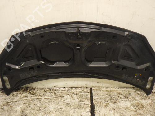 Motorhjelm RENAULT TWINGO II (CN0_) 1.2 16V (CN04, CN0B) | BP31997108C1 