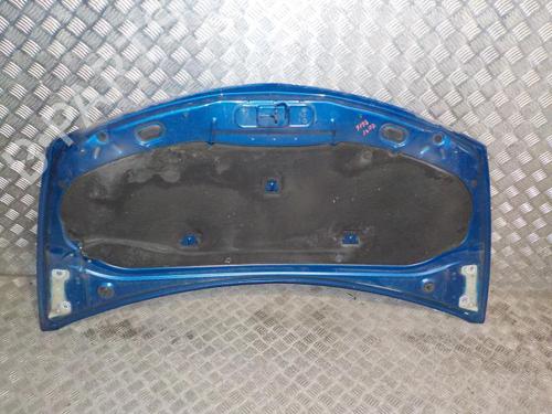 Hood RENAULT CLIO III (BR0/1, CR0/1) 1.5 dCi | BP24889784C1 