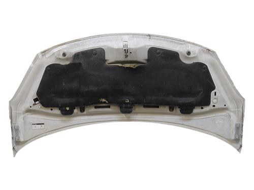 hood-citroen-c3-ii-sc_-2009-39099711 main image